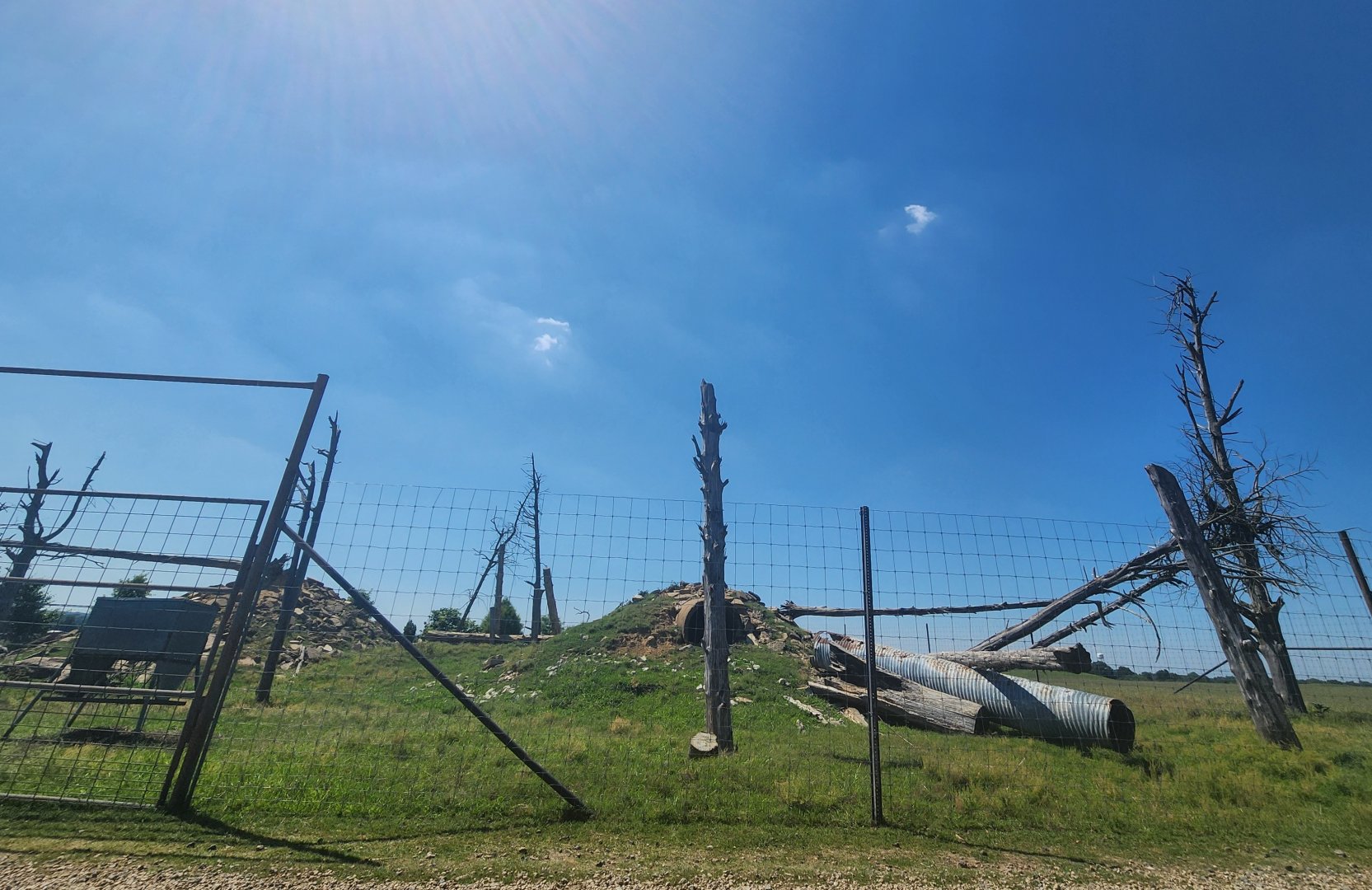 Tennessee Safari Park - Himalayan Tahr exhibit