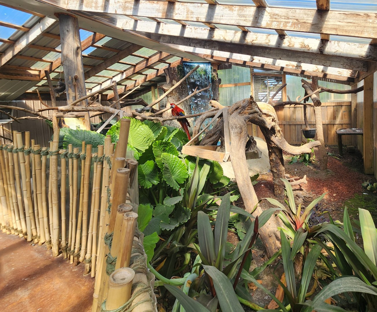 Tennessee Safari Park - Sloth walkthrough exhibit