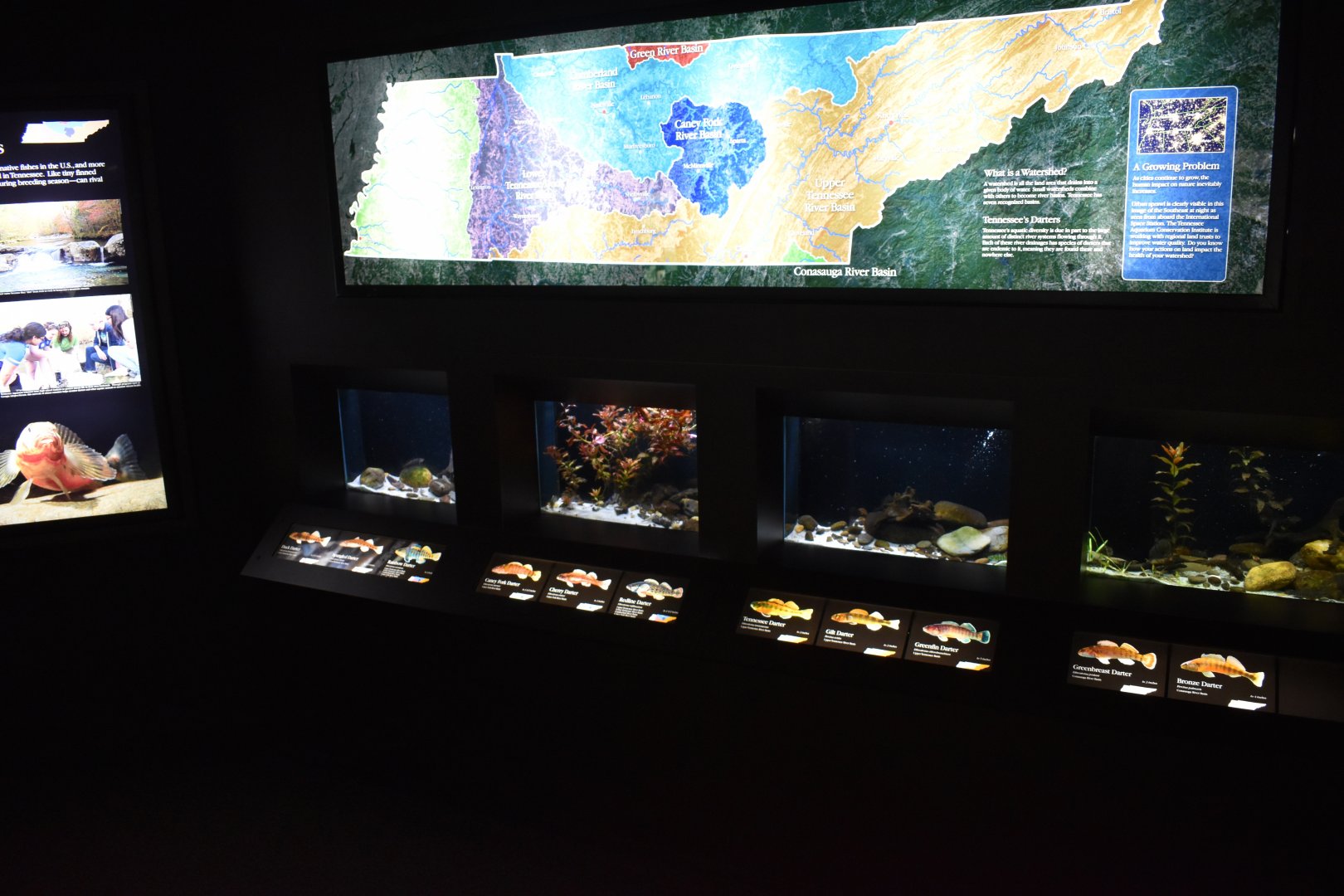 Tennessee's Amazing Darters Exhibit
