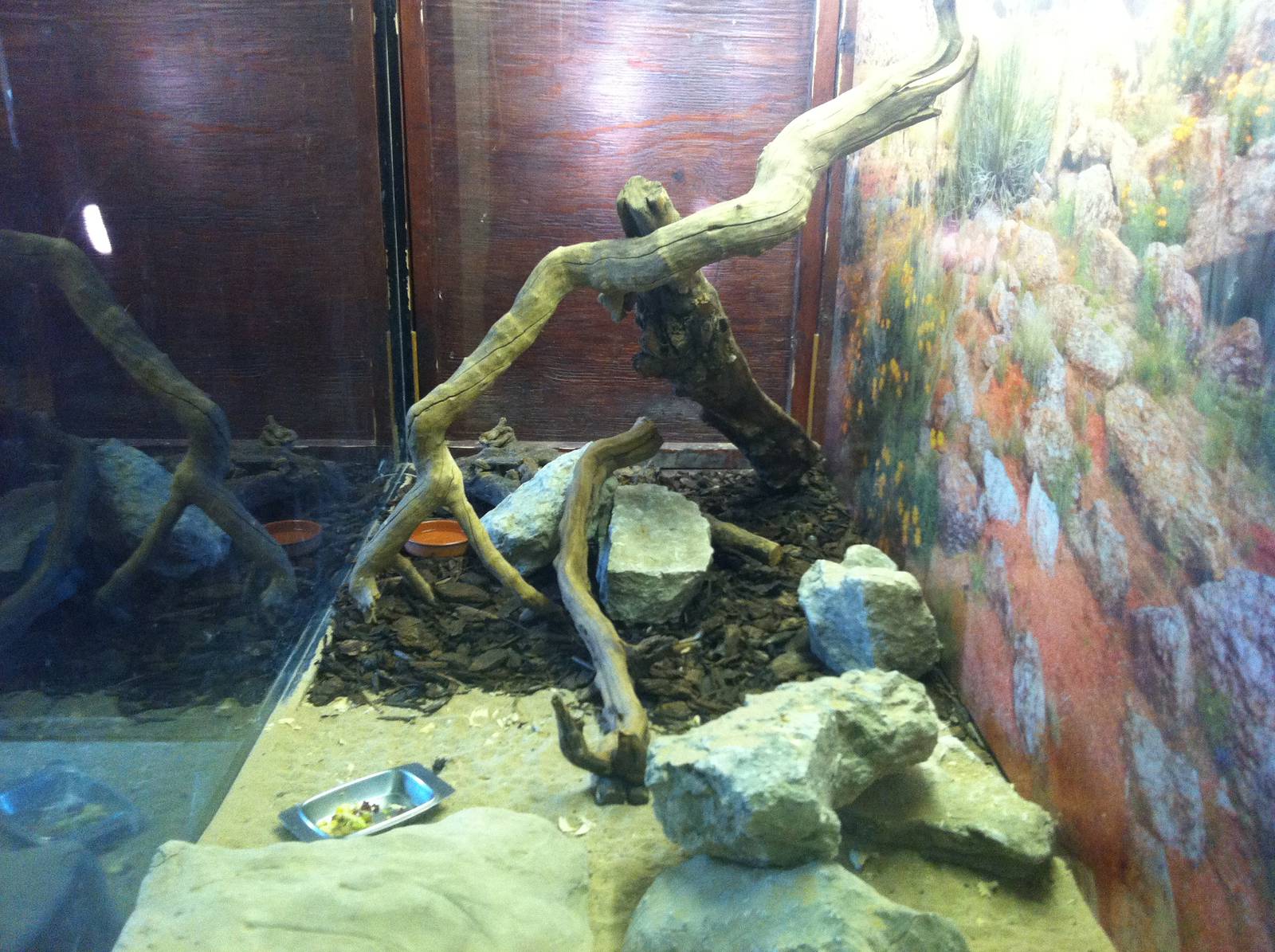 Tenrec Enclosure - 24th April 2011