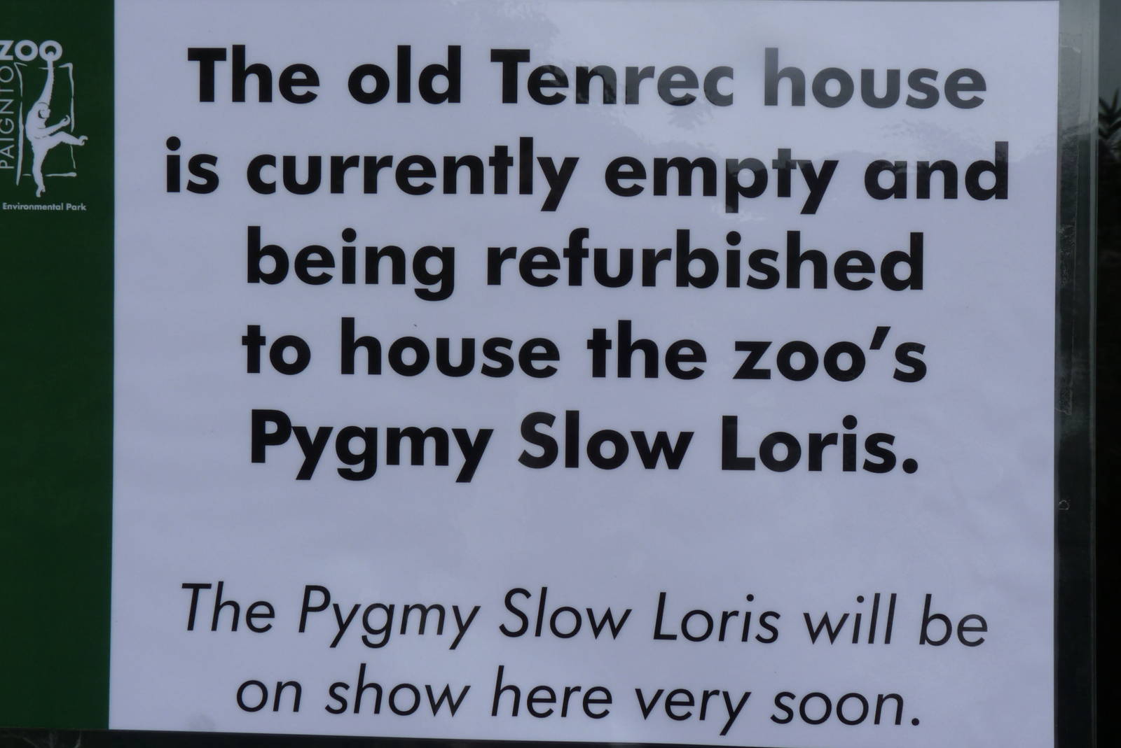 Tenrec or Slow Loris House Sign, August 2016