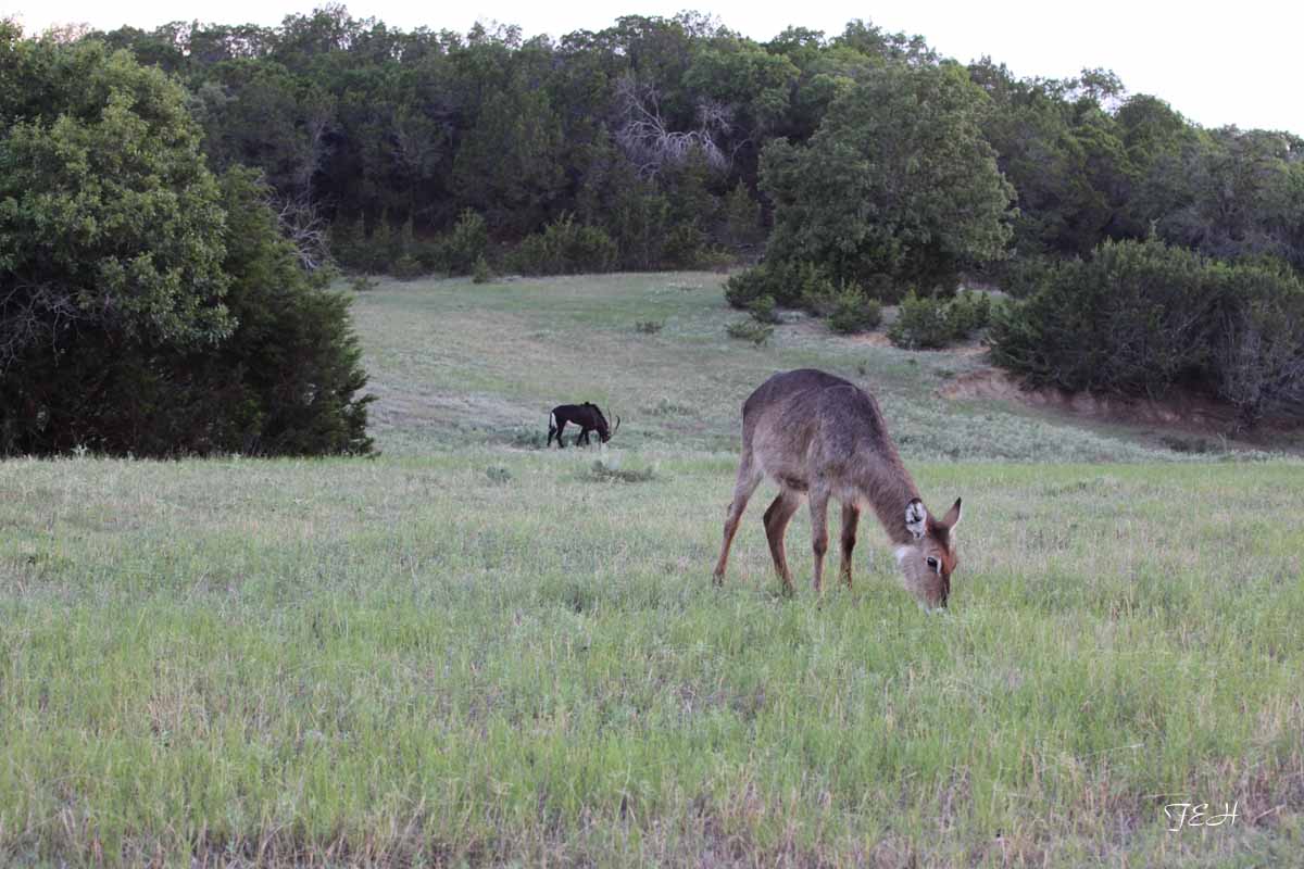 Tent Camp - July 25 to 26, 2013