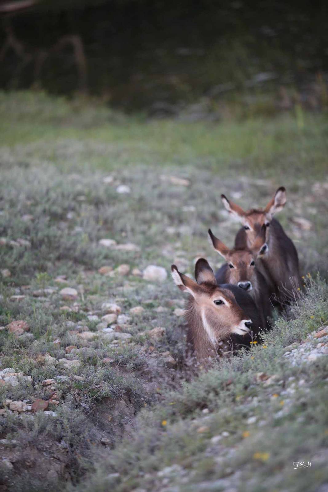 Tent Camp - July 25 to 26, 2013