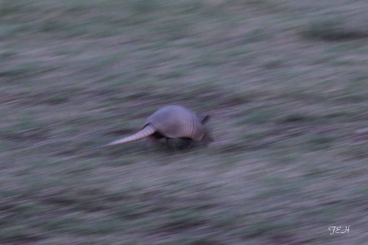 Tent Camp - July 25 to 26, 2013