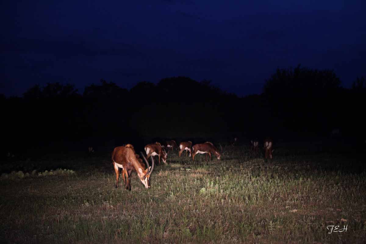 Tent Camp - July 25 to 26, 2013