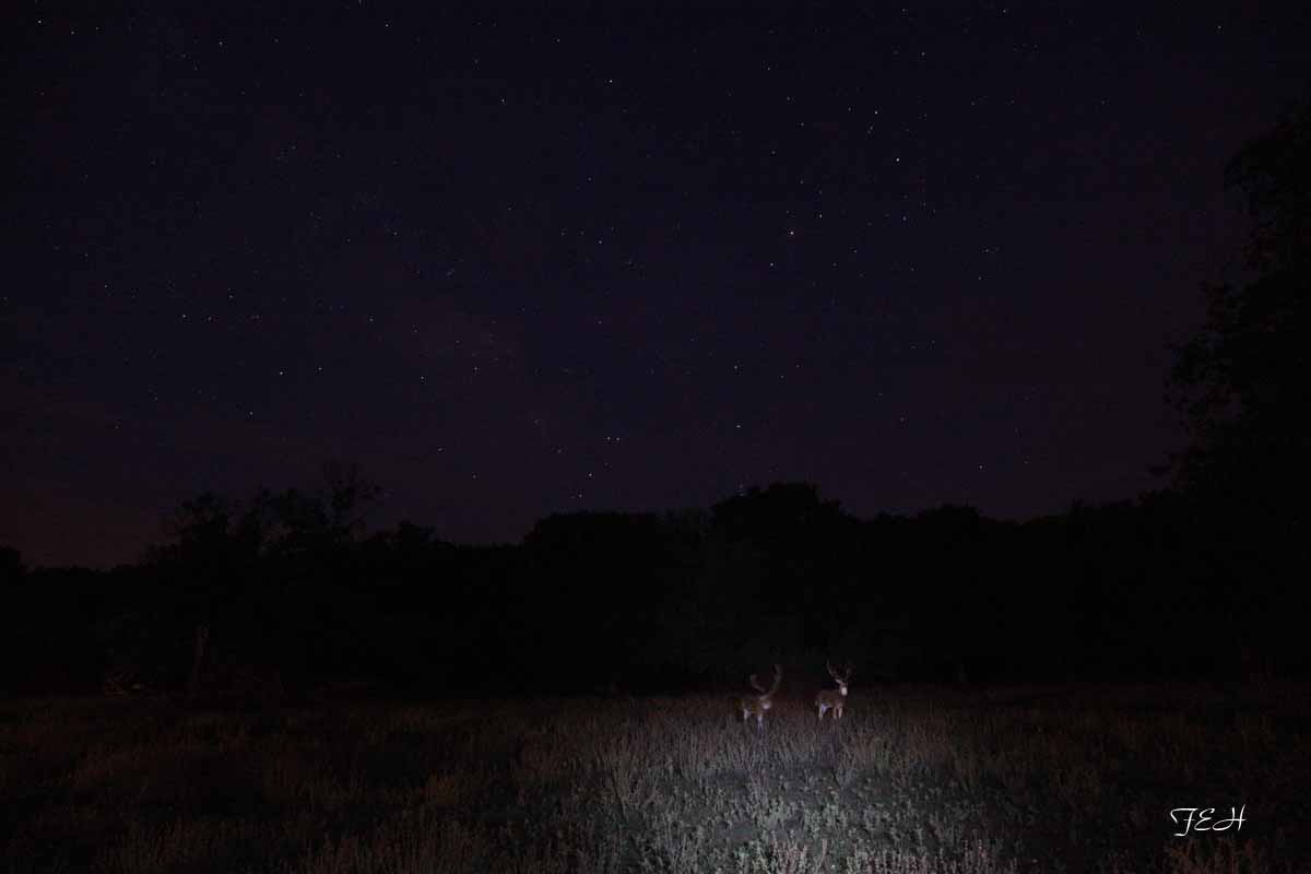 Tent Camp - July 25 to 26, 2013