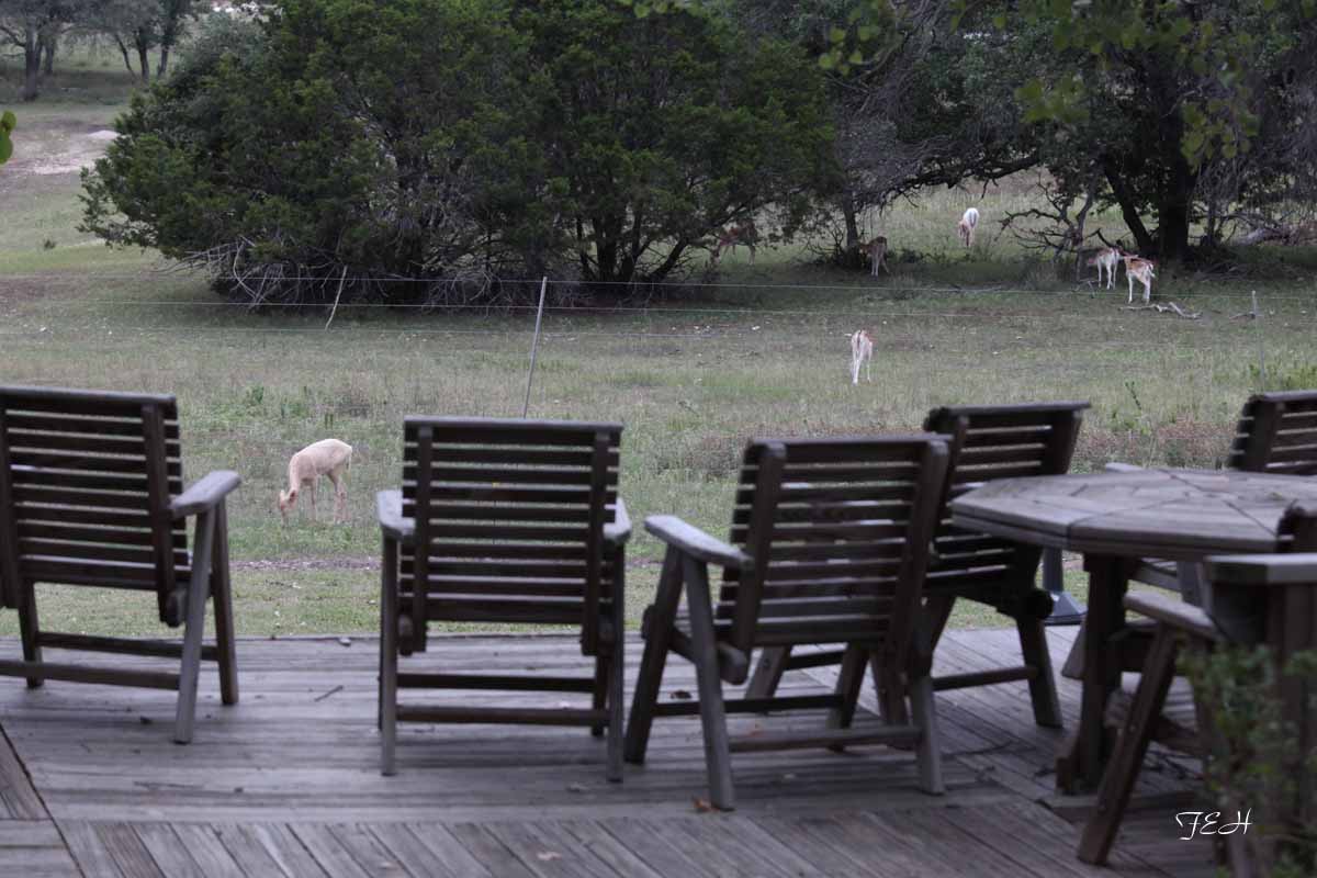 Tent Camp - July 25 to 26, 2013