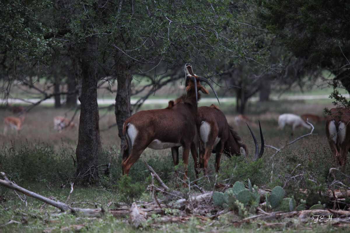 Tent Camp - July 25 to 26, 2013