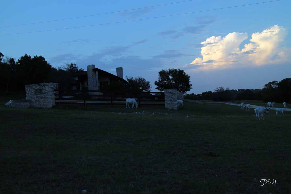 Tent Camp - July 25 to 26, 2013