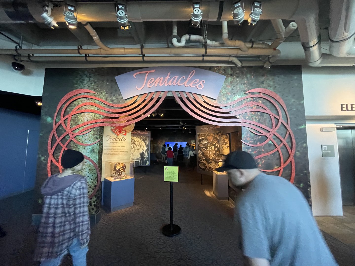 Tentacles (closing september 5)