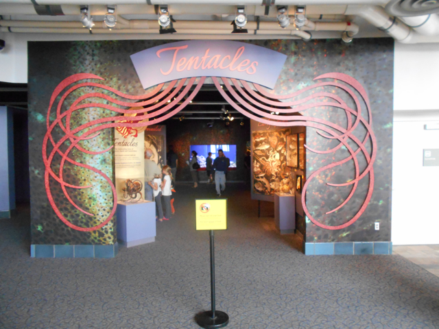 Tentacles exhibit