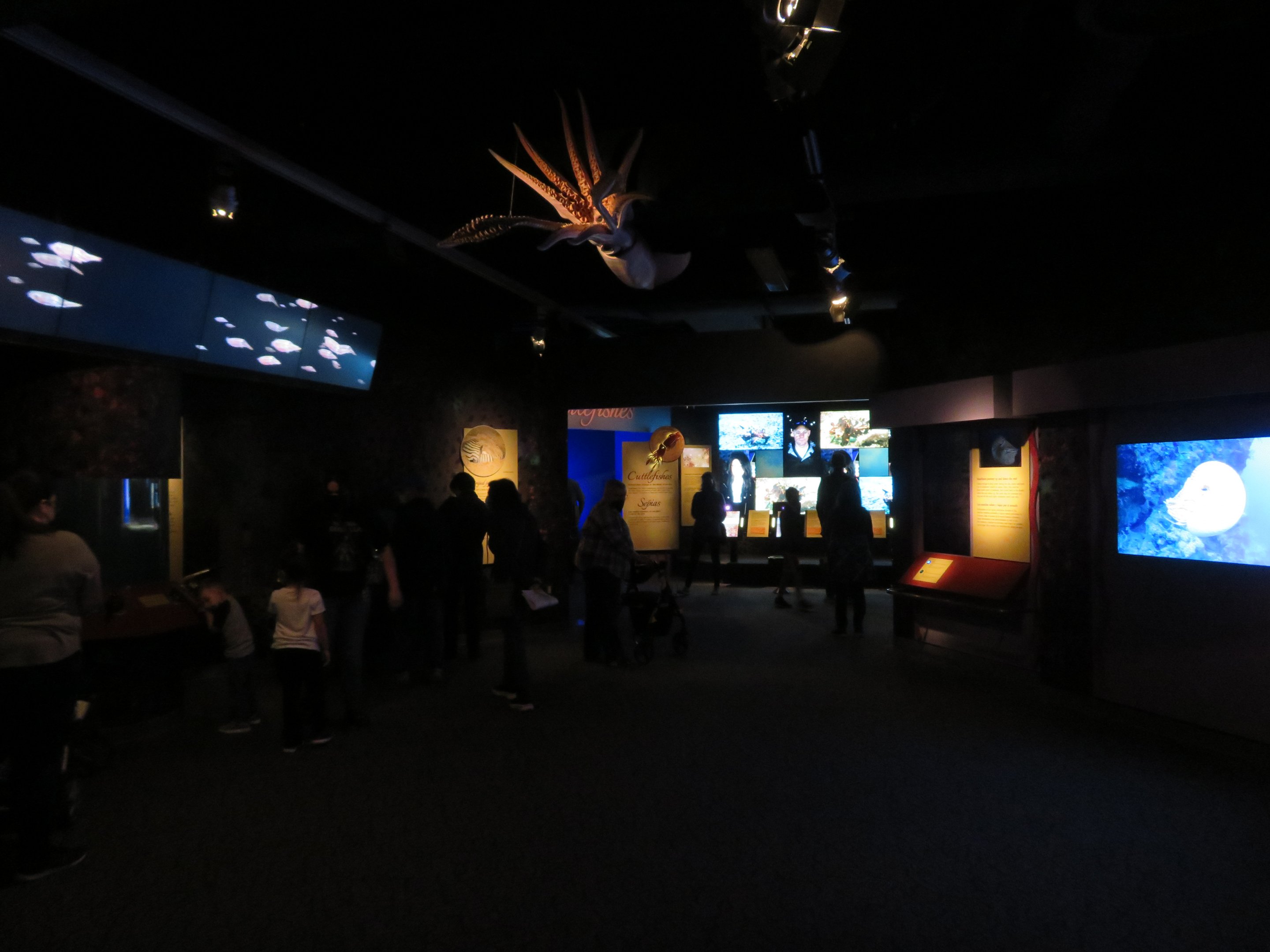 Tentacles Exhibit