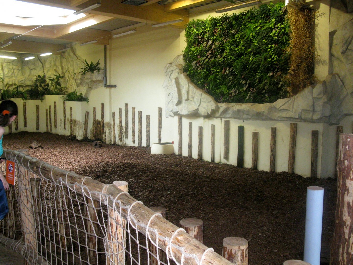 Terai Pavilion - Indian Rhino indoor enclosure - 08.2013