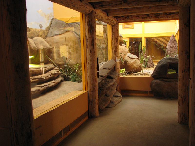 Terariums in the giraffe house