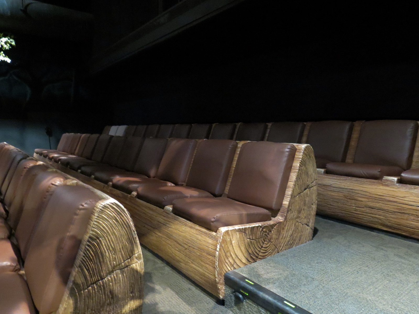 Terminix Immersion Theater - Interior