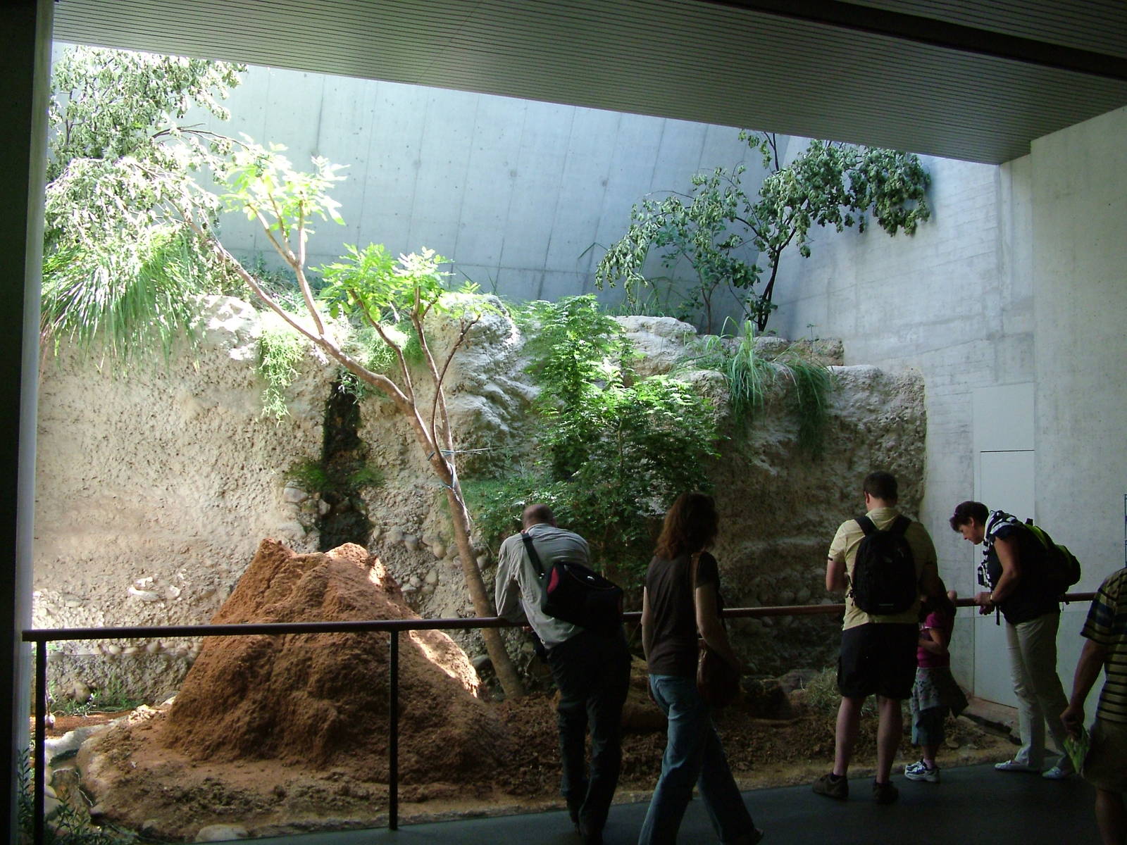 Termite and Chamaeleon enclosure at Basel Zoo 30/08/09