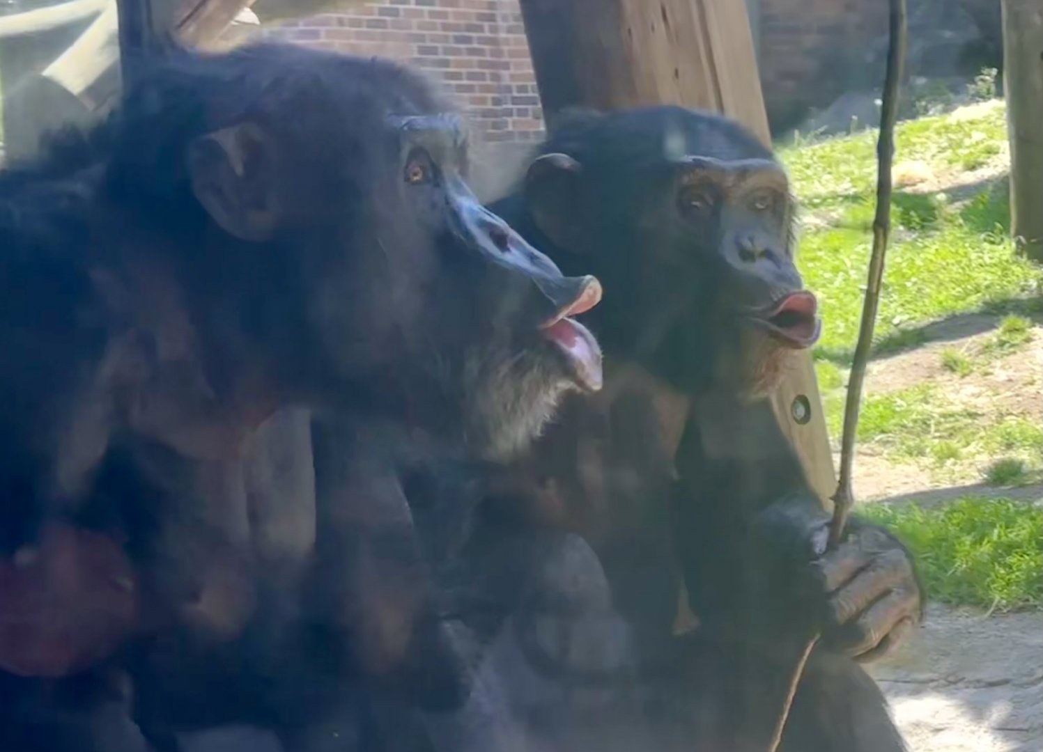 Termite Fishing - Shikamoo and Sudi