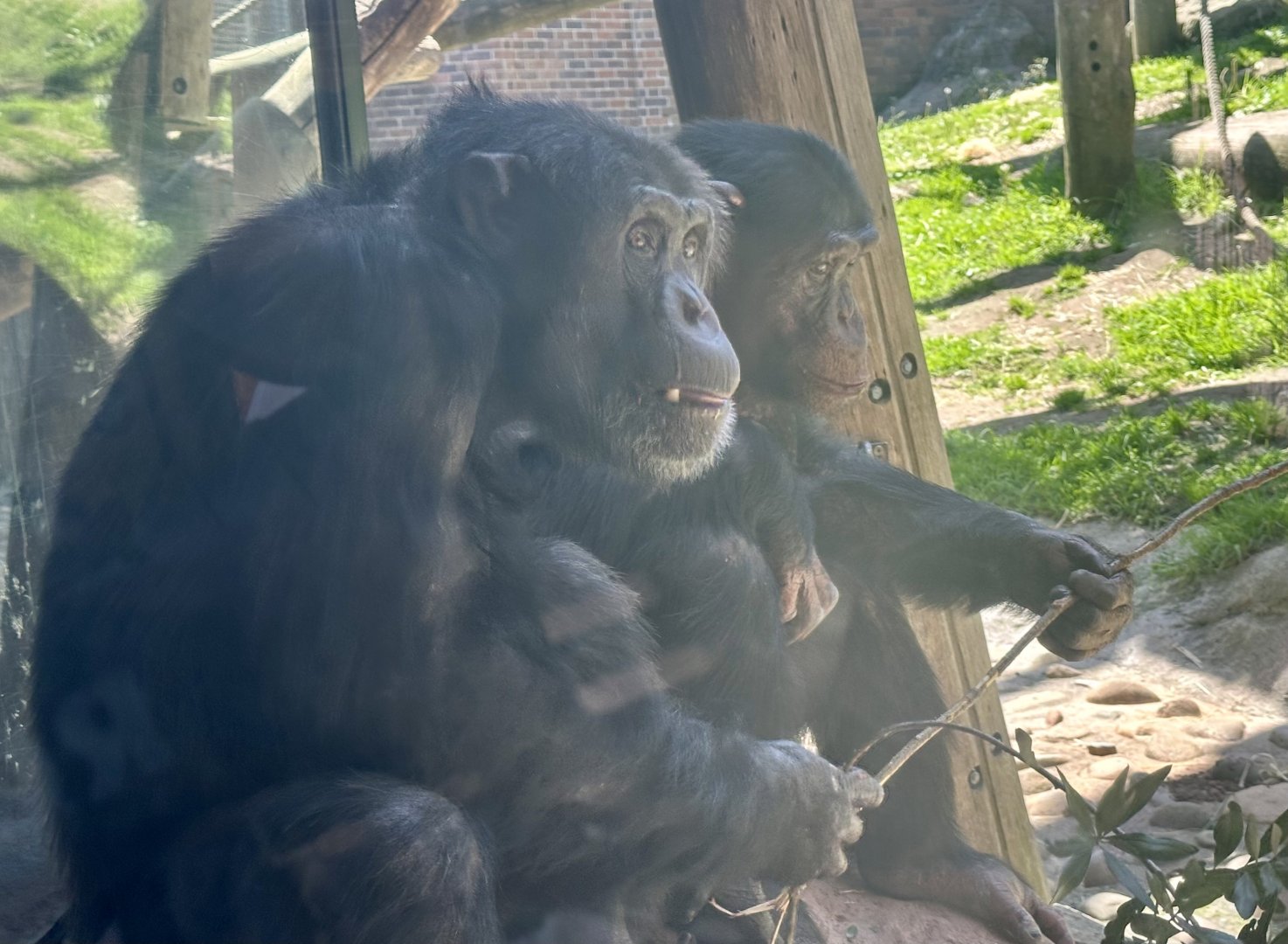Termite Fishing - Shikamoo and Sudi