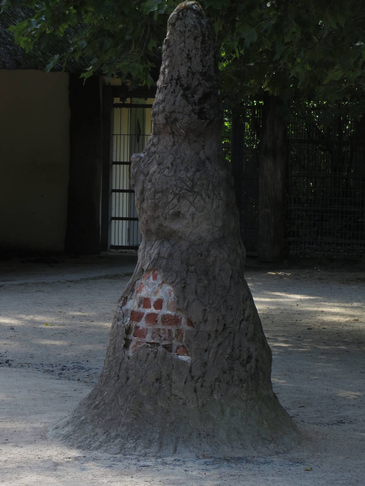 Termite hill