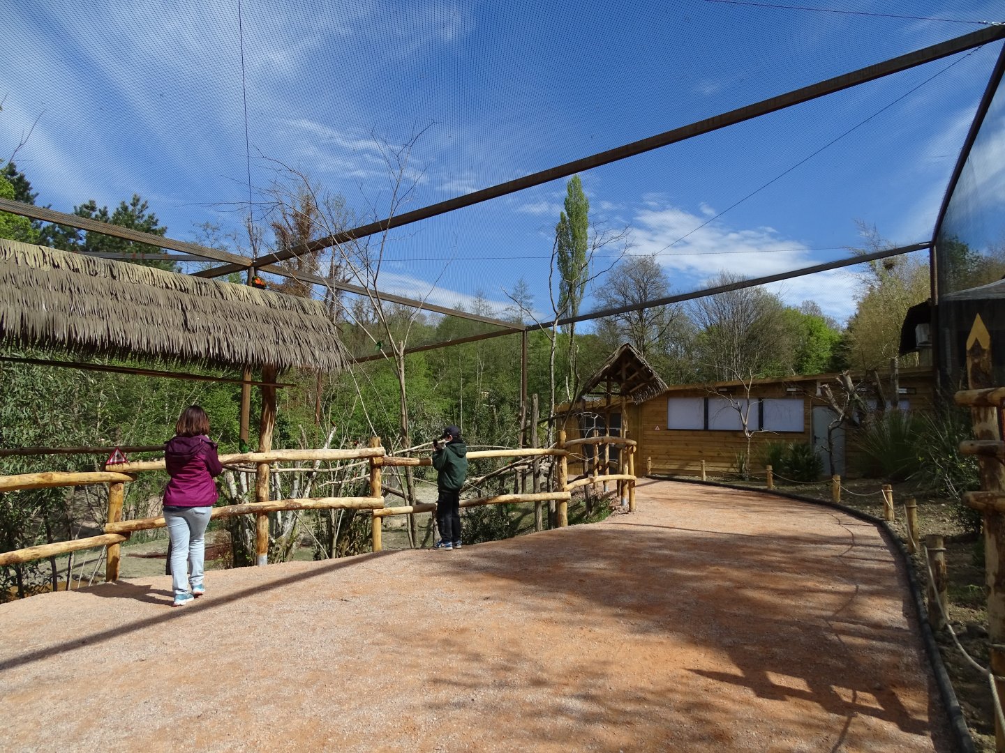 Terra australis aviary
