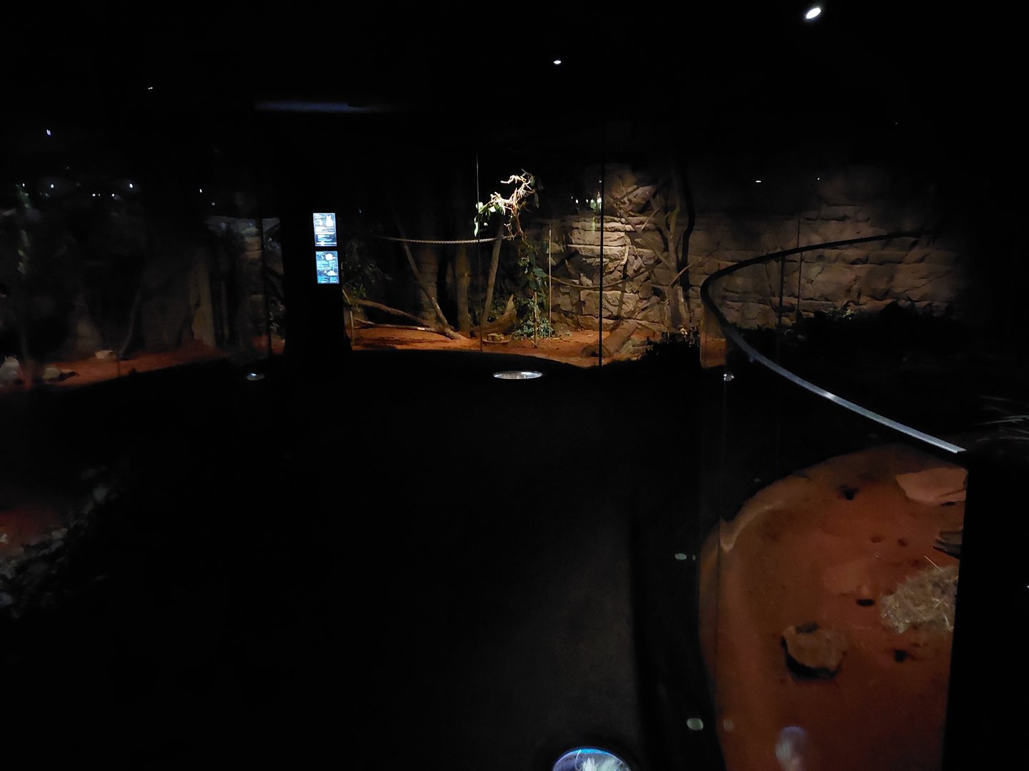 Terra Australis - Desert room