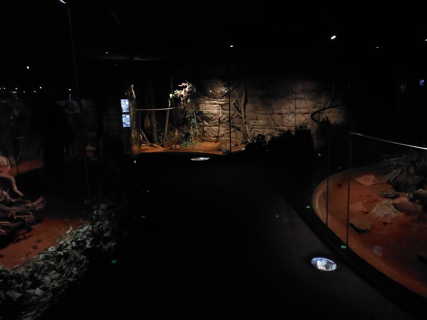 Terra Australis - desert room