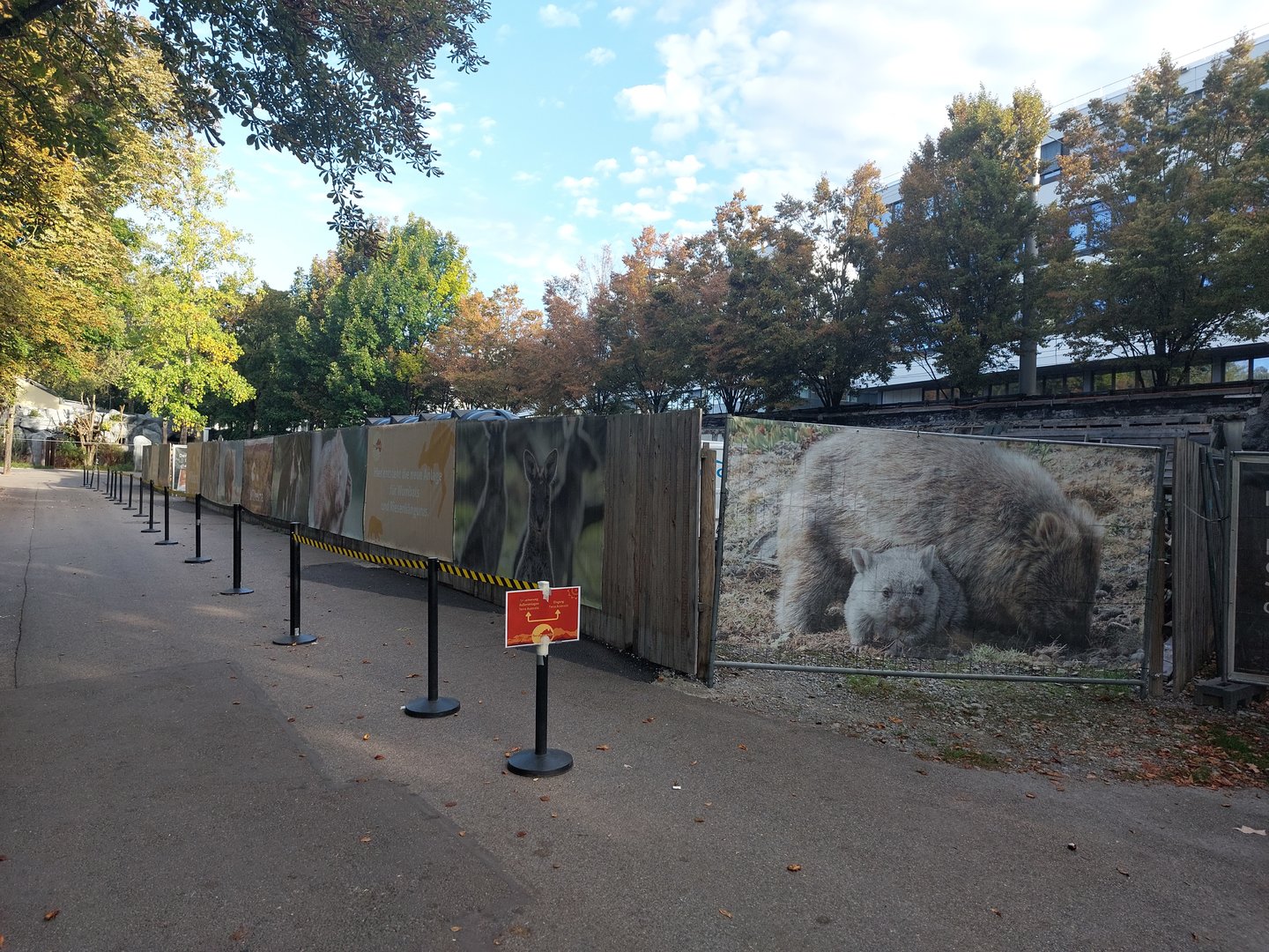 Terra Australis - Future wombat & gray kangaroo exhibit