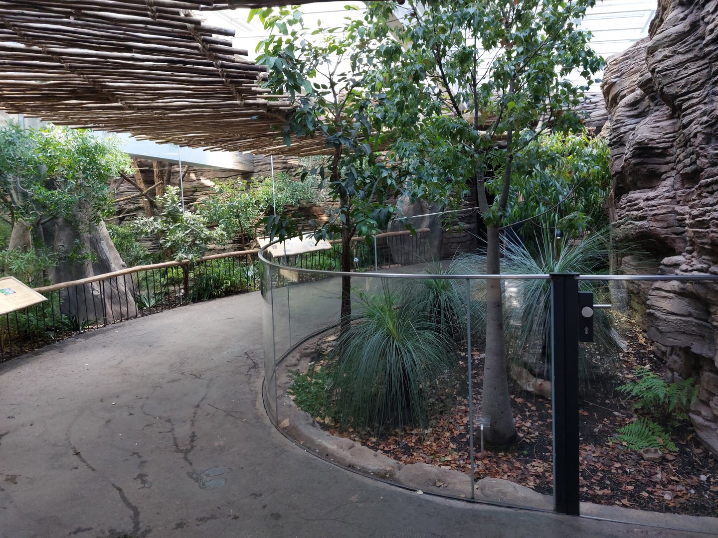 Terra Australis - Koala room