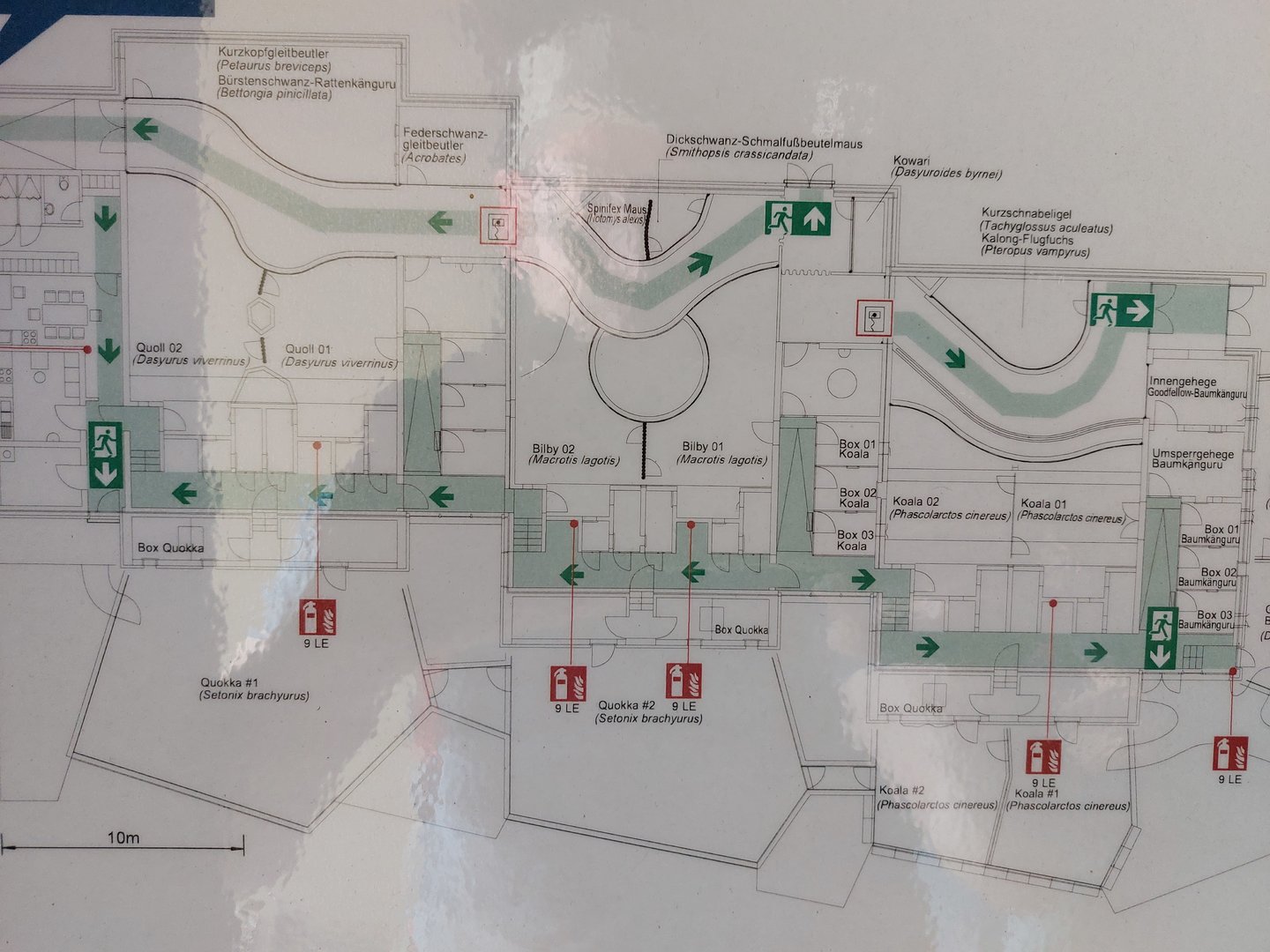 Terra Australis - map