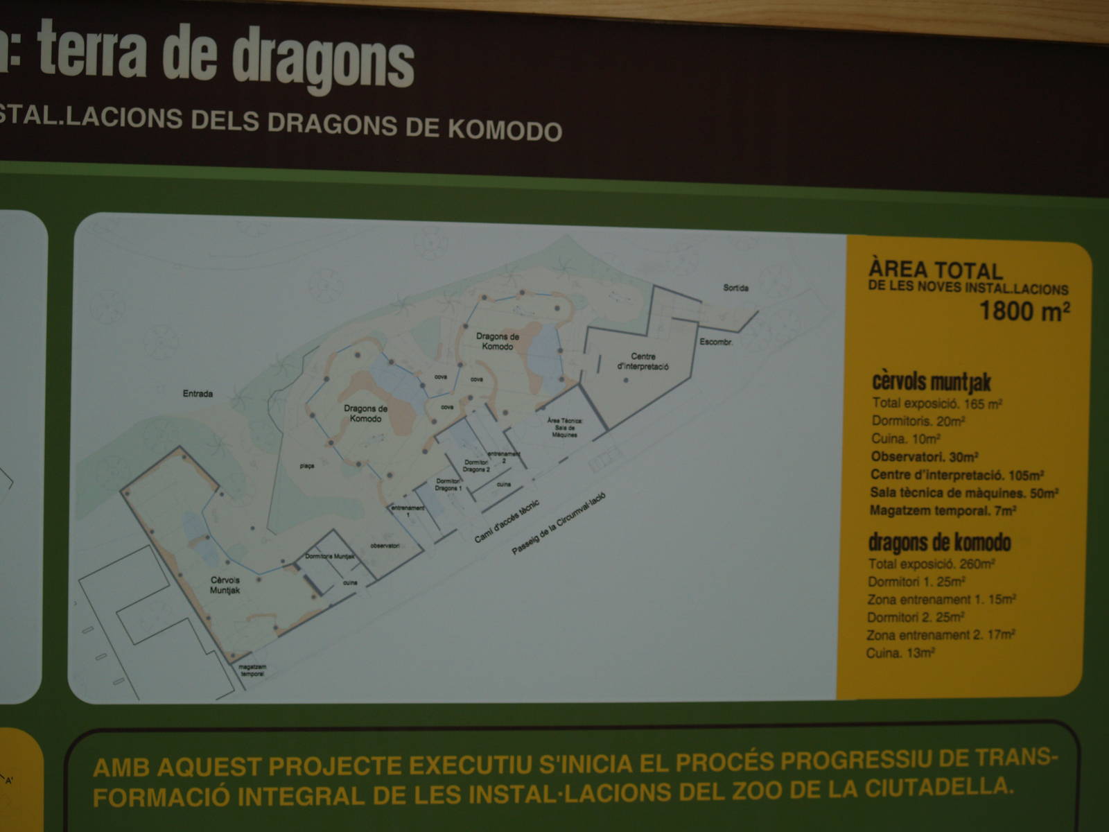 Terra de dragons: Map of the new Komodo dragon and muntjac exhibits