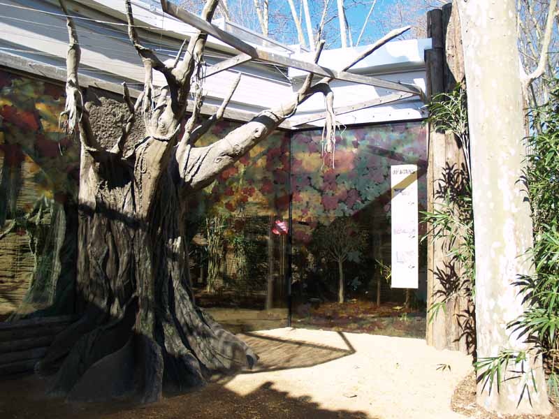 Terra de Dragons - Zoo Barcelona