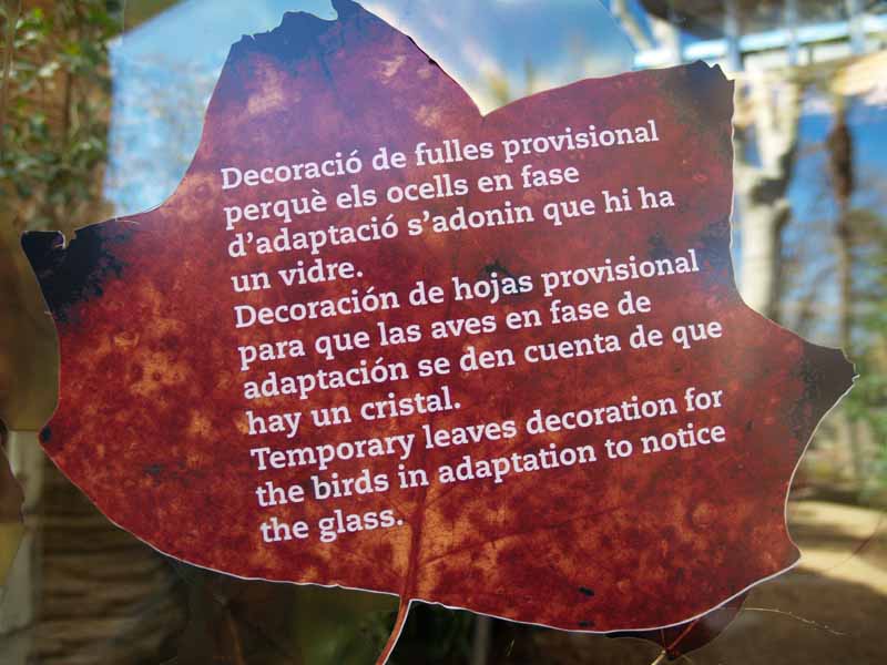 Terra de Dragons - Zoo Barcelona