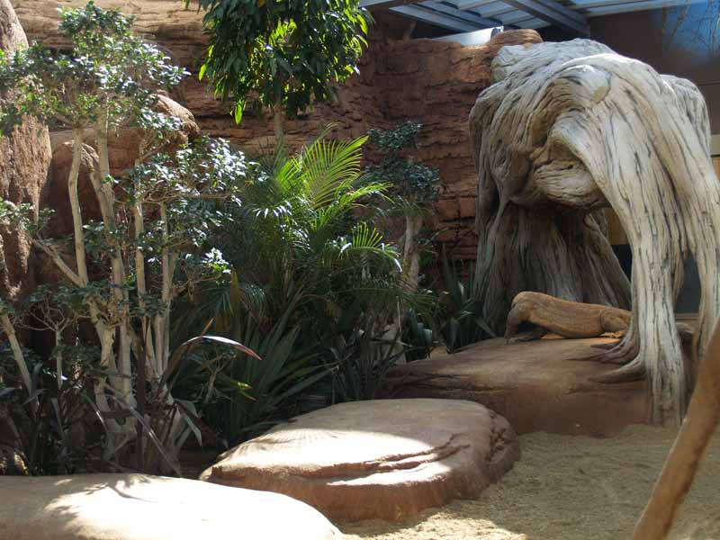 Terra de Dragons - Zoo Barcelona