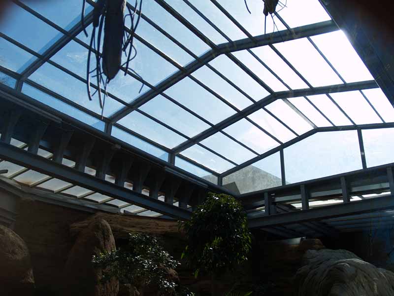 Terra de Dragons - Zoo Barcelona