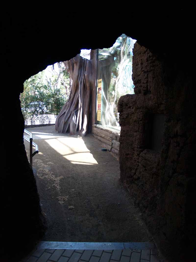 Terra de Dragons - Zoo Barcelona