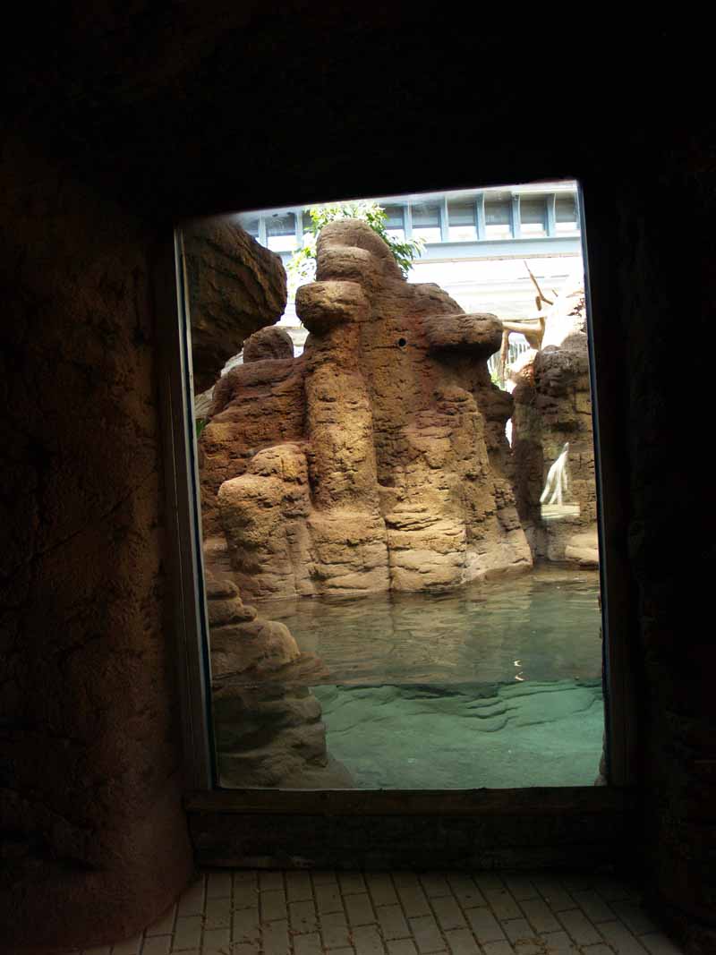 Terra de Dragons - Zoo Barcelona