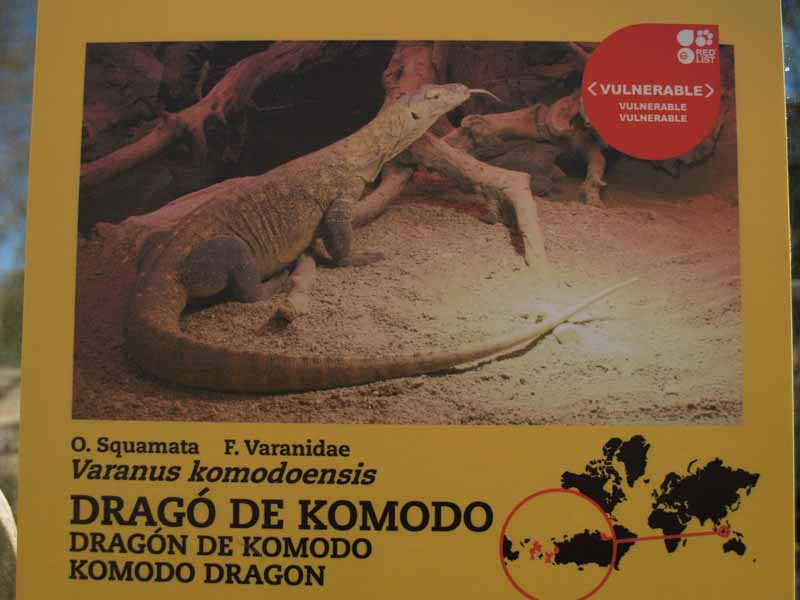 Terra de Dragons - Zoo Barcelona