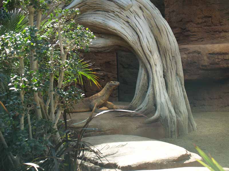 Terra de Dragons - Zoo Barcelona