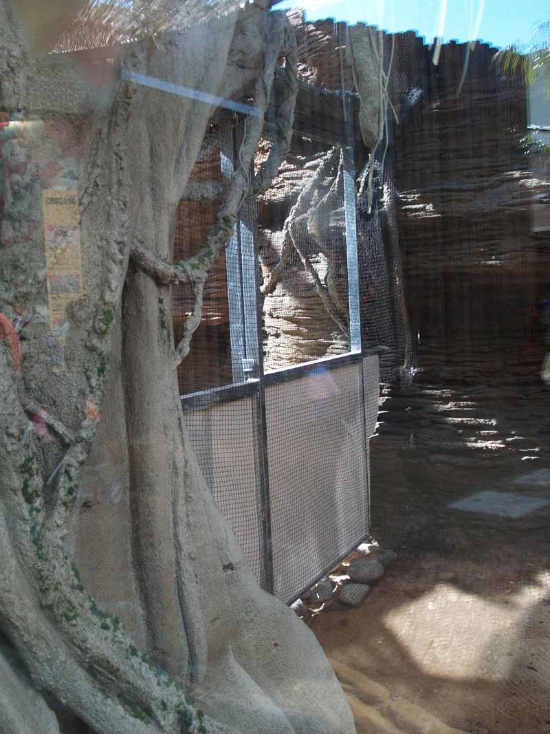 Terra de Dragons - Zoo Barcelona