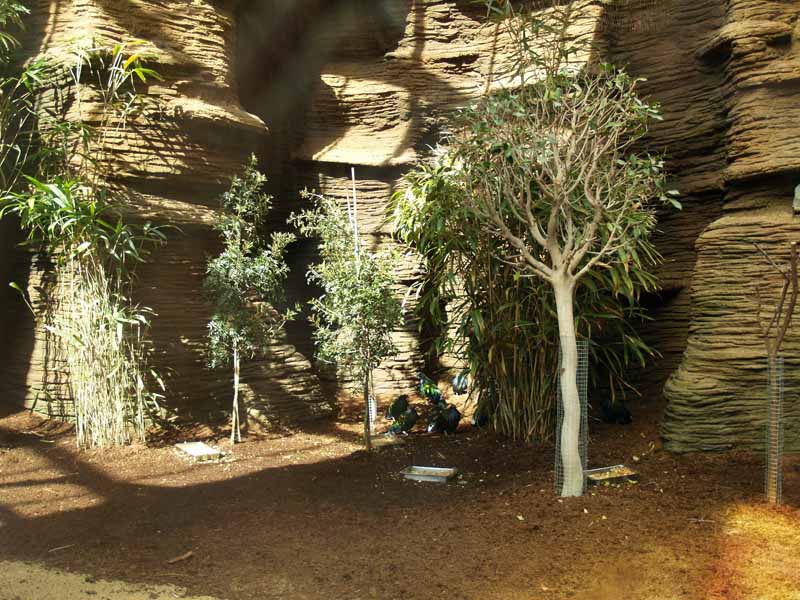 Terra de Dragons - Zoo Barcelona