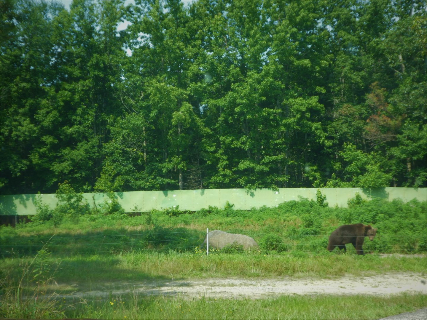Terra Ursus - 12-Acre European Brown Bear Exhibit