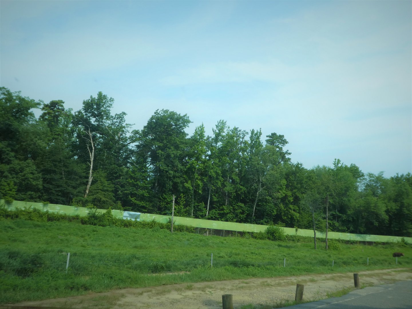 Terra Ursus - 12-Acre European Brown Bear Exhibit