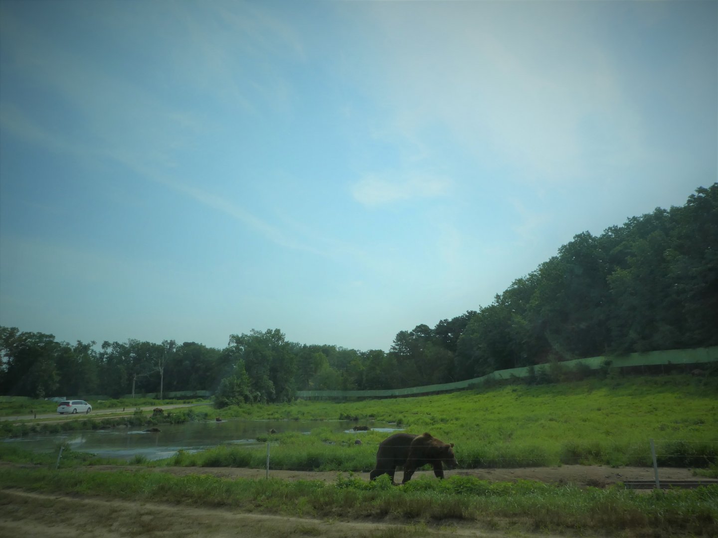 Terra Ursus - 12-Acre European Brown Bear Exhibit