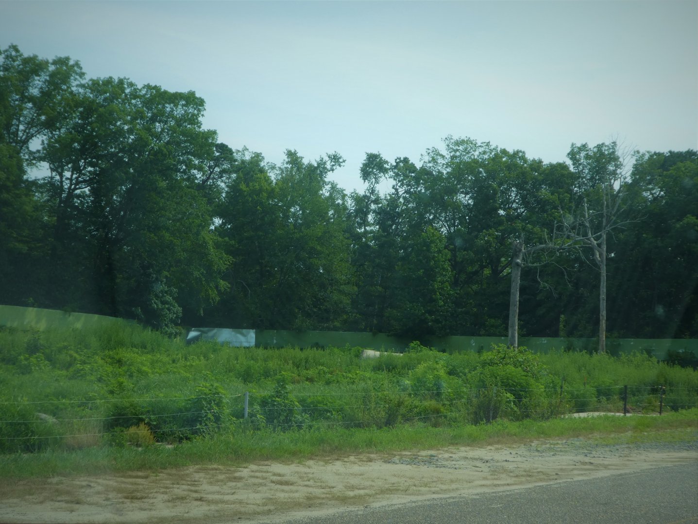 Terra Ursus - 12-Acre European Brown Bear Exhibit
