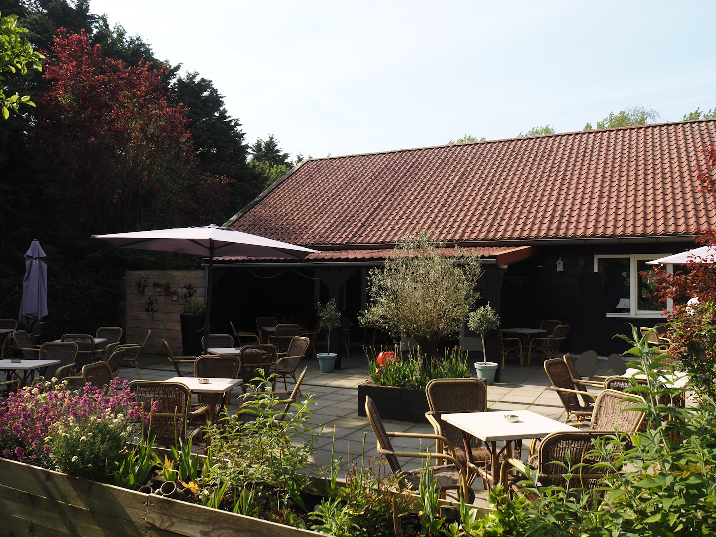 Terrace area next to main building, 2024-05-11