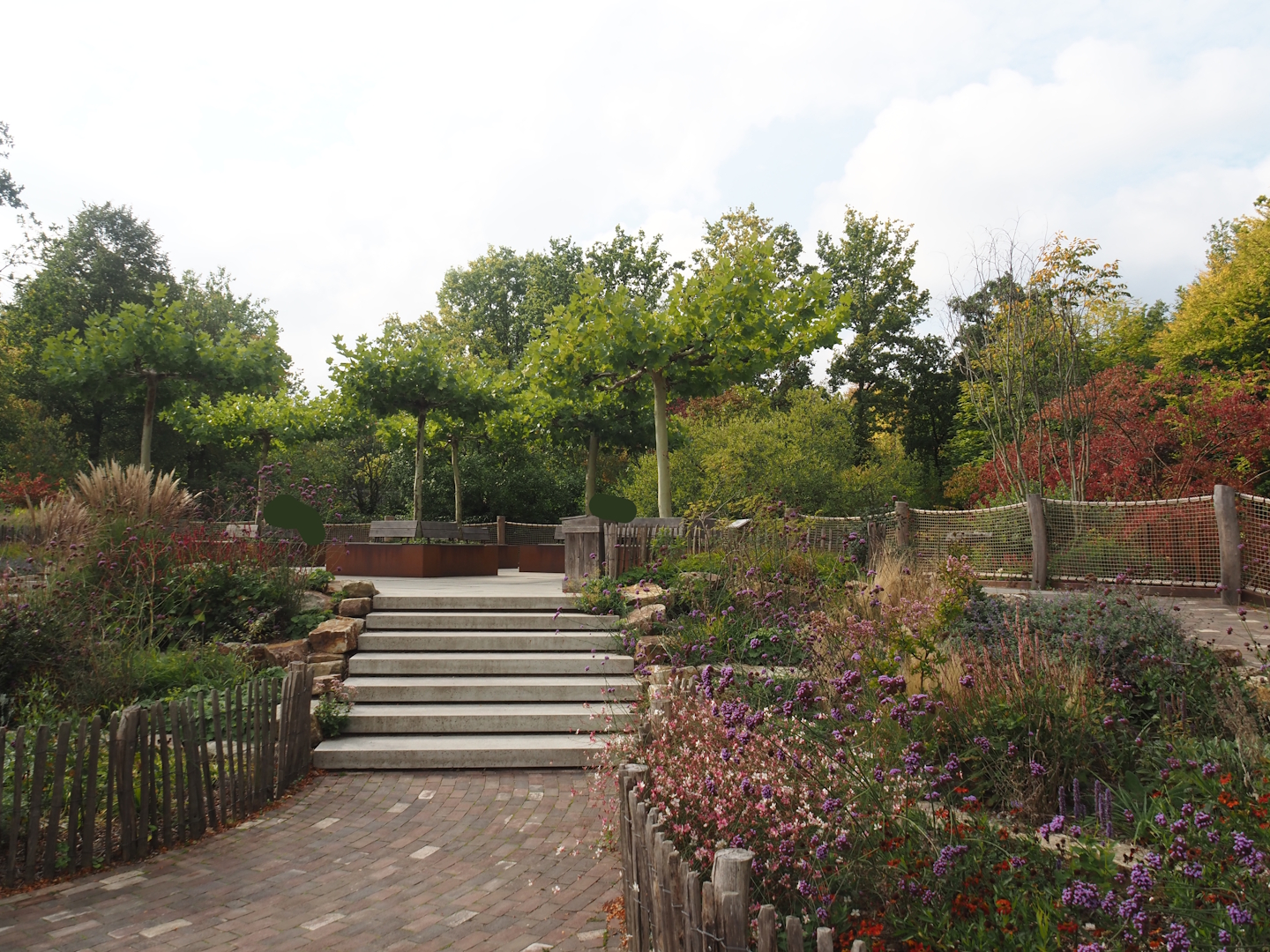 Terrace next to the second pygmy hippopotamus exhibit, 2025-09-30