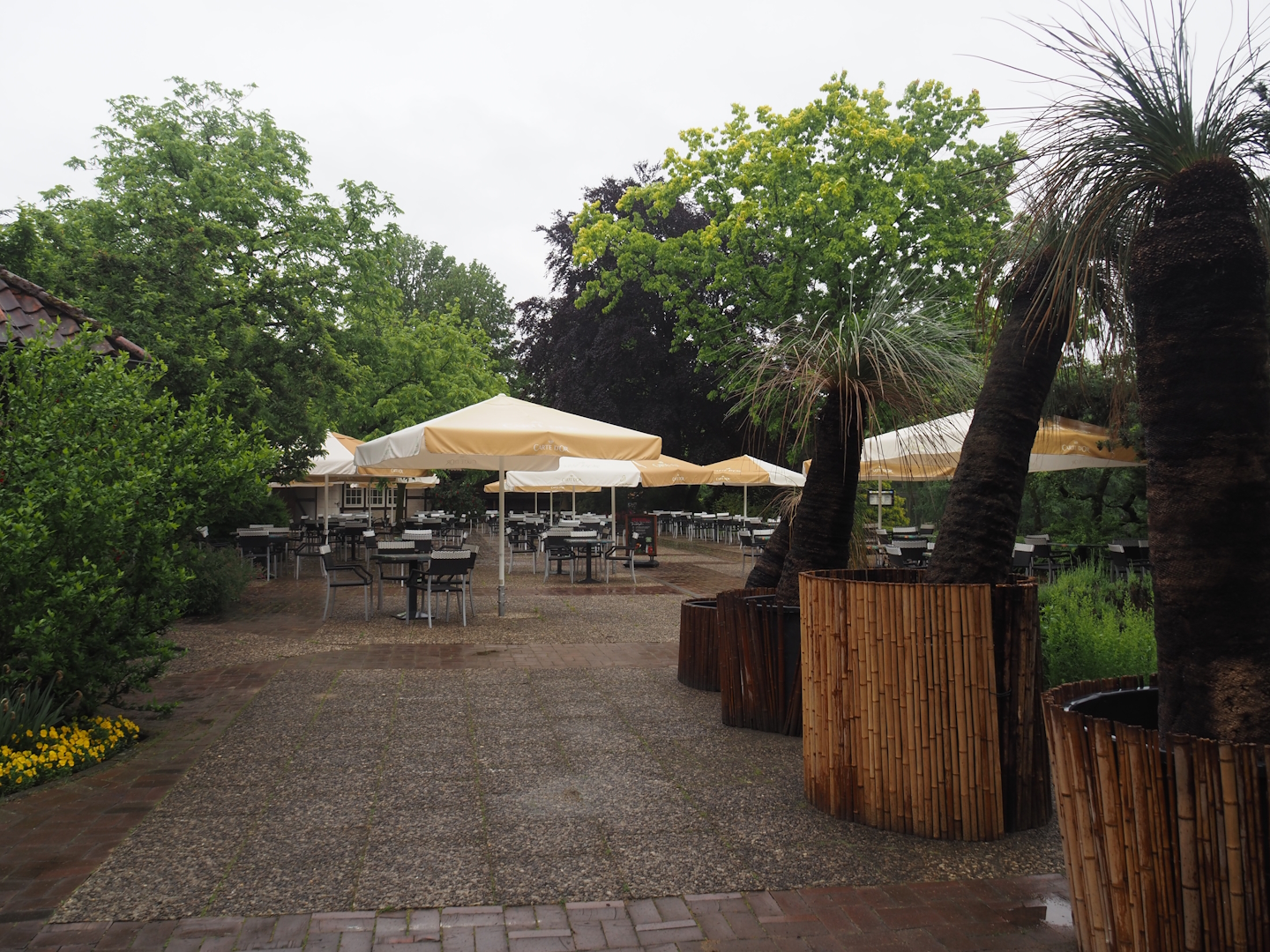 Terrace of Rosencafé restaurant, 2024-05-22