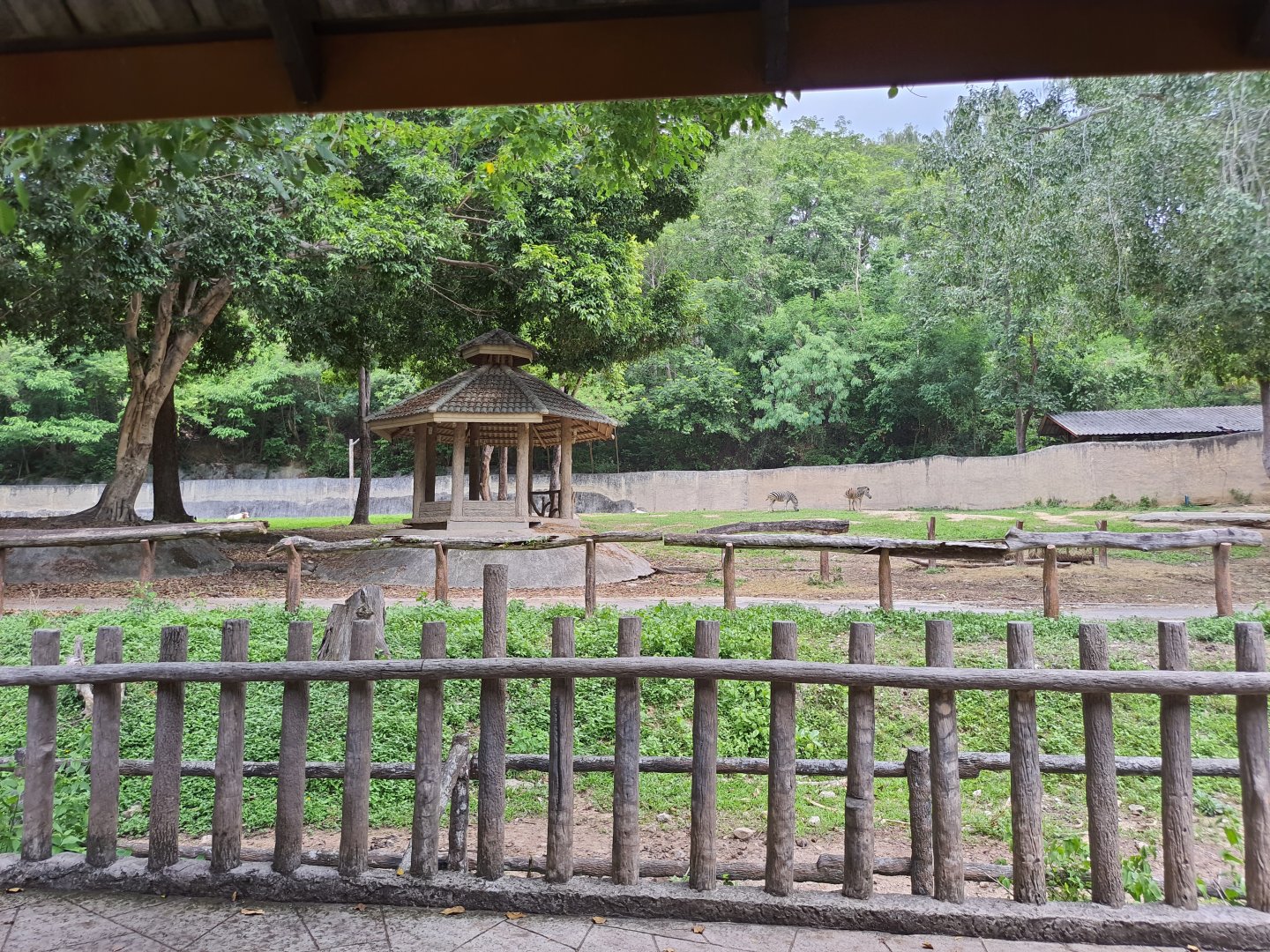 Terrace Overlooking the African Animal Enclosure