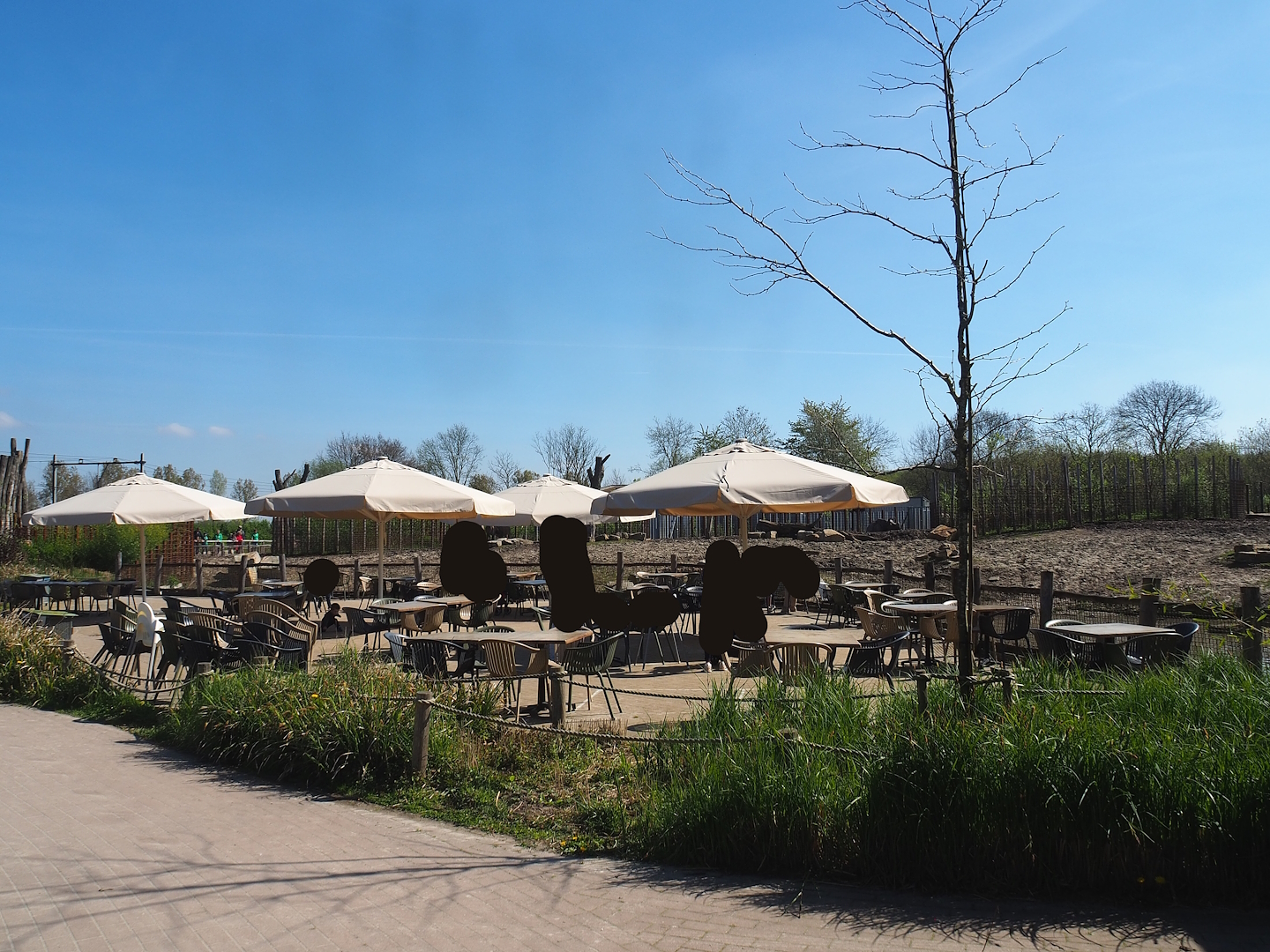 Terrace with view of Indian rhinoceros, Nilgai, Indian hog deer and Visayan warty pig exhibit, 2023-04-30