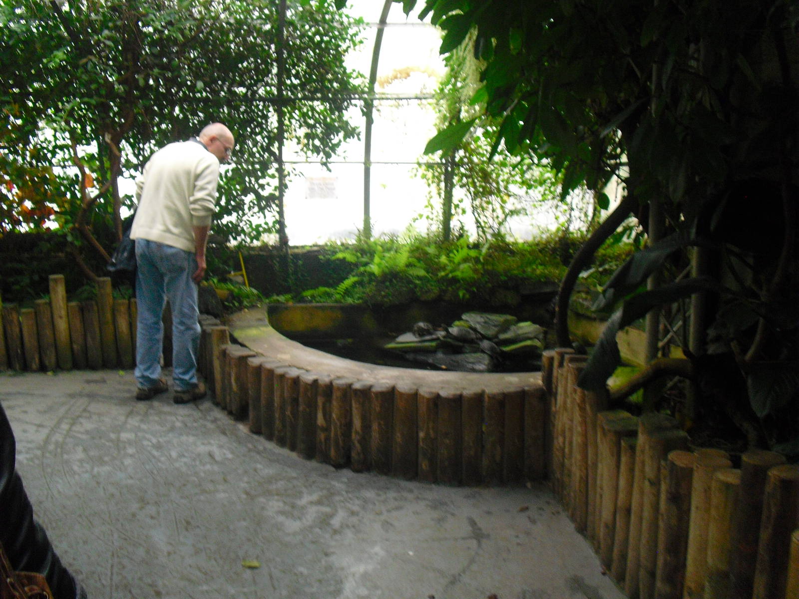 Terrapin Enclosure - 12/10/2011